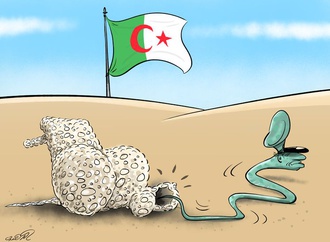 
                                                                                                  Abdelghani Dahdouh - Morocco