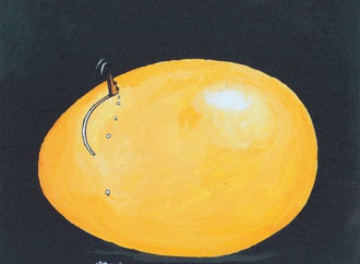 erico junqueira brazil