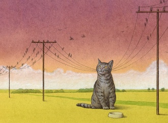 pawel kuczynski4