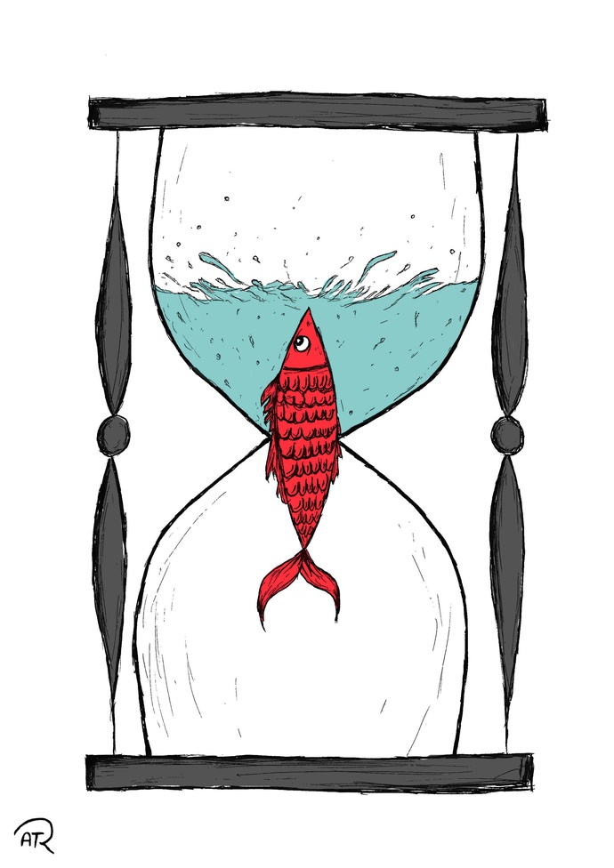 By: Amirreza Torkaman-Iran