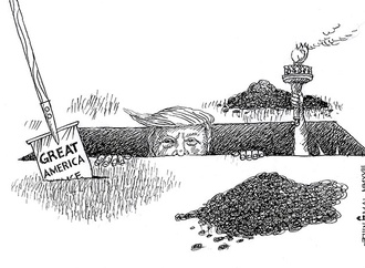 cartoon section457