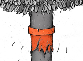 ahmad reza sohrabi iran 4