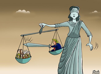 cartoon section635