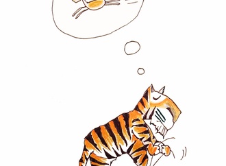 luc descheemaeker belgium 1