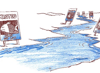 senaid serdarevic croatia 24