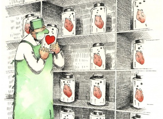 organ donation96