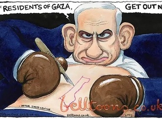 steve bell uk