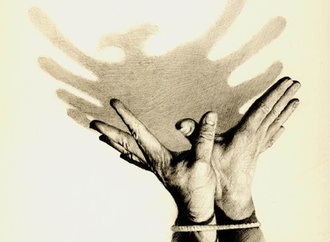 agim sulaj7