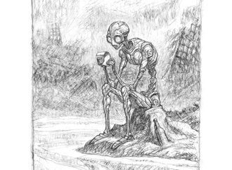 peter de secve 6