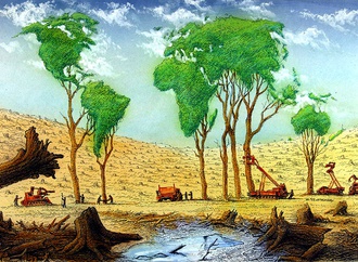 the environment