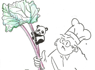 Gallery:6th International Rhubarb Cartoons Contest, Romania 2024