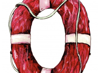 organ donation36