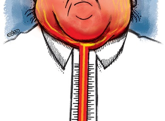 cartoon section361