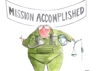 ann telnaes sweden 44