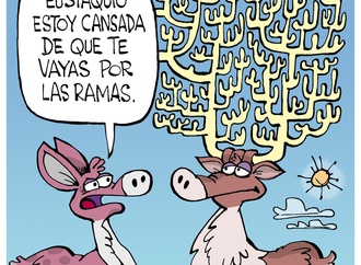 









                                                                                                  Leo Arias - Argentina