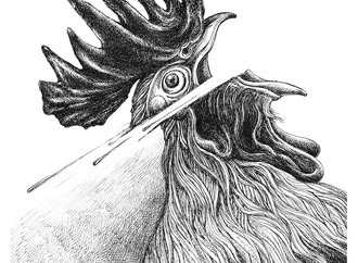 mohsen nouri najafi iran 23