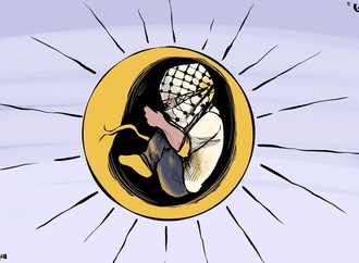 mohammad sabaaneh18