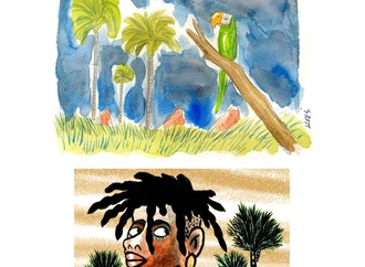 
                                                                                                  Evandro Alves - Brazil