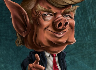caricature section 27