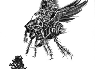 murray tinkelman2