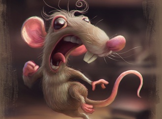 
                                                                                                  Tiago Hoisel - Brazil