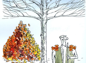 valery momot ukraine