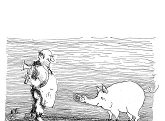 Catalog of Niko Nikolla Cartoon Biennial Albania 2020