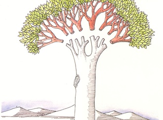 massoud mehrabi iran