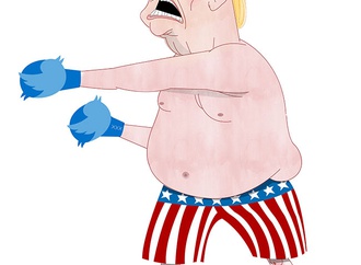 cartoon section278