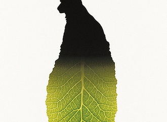 
                                                                                                  Shigeo Fukuda - Japan