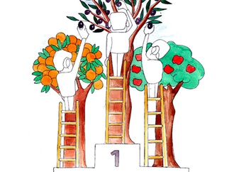olive contest6