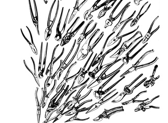 Gallery of Cartoons By Kambiz Derambakhsh From Iran