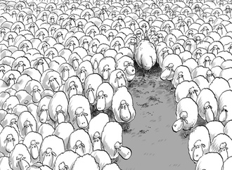 bozorgmehr hosseinpour 5