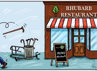 Finalists of 6th International Rhubarb Cartoons Contest, Romania 2024