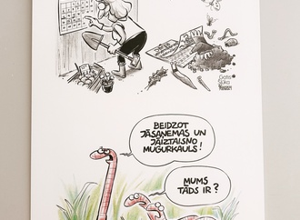 gatis salu_ka 15