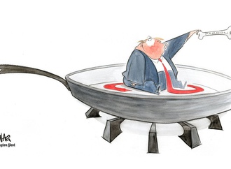 ann telnaes sweden 77