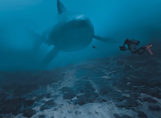 atey ghailan usa 127