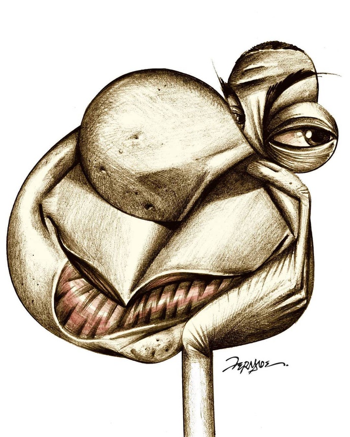 By: Luiz Carlos Fernandes-Brasil