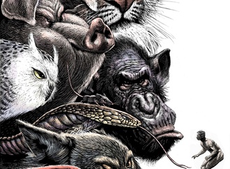 Gallery of Caricatures by Ricardo Martinez From  Chile
