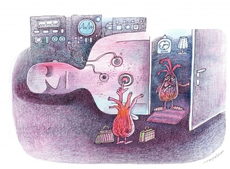 organ donation18