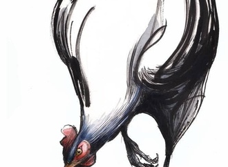 boligan191