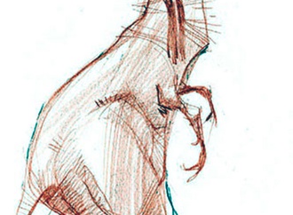 
                                                                                                  Hamid Bahrami - Iran