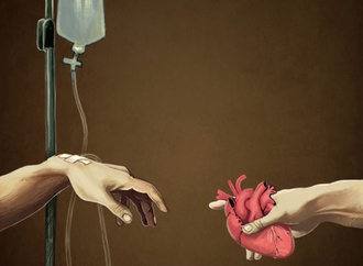 organ donation94