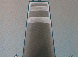liu qiang china24