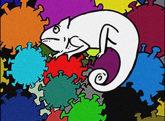 chameleon and corona