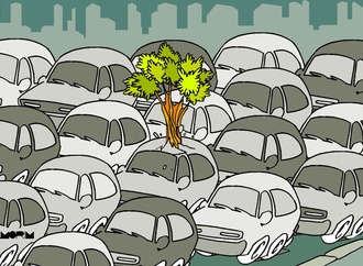 The Environment