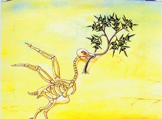 askin ayrancioglu turkey