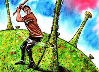 fernando pica colombia2