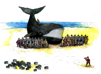 pavel constantin romania 1