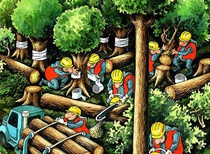 The Best World Cartoon-part 250